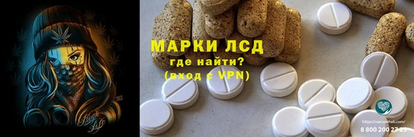 мяу мяу мука Баксан
