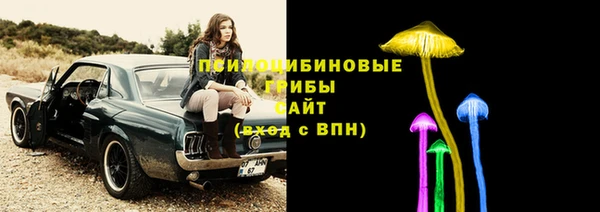 гидра Аркадак