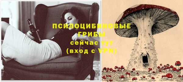 синтетический гашиш Арсеньев