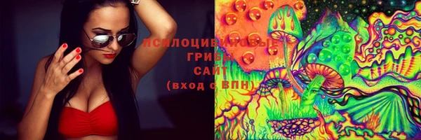 мяу мяу мука Баксан