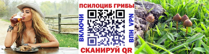 как найти   Невель  Псилоцибиновые грибы мицелий 