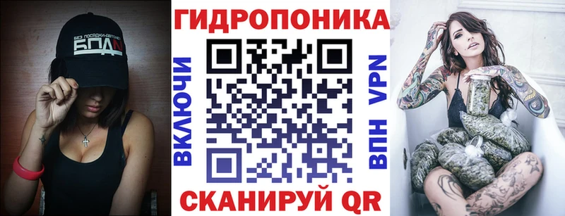 MEGA сайт  где купить   Невель  Шишки марихуана план 